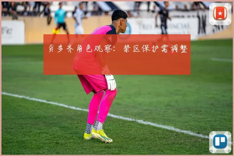 贡多齐角色观察：禁区保护需调整