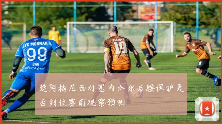 楚阿梅尼面对塞内加尔后腰保护是否到位赛前观察预测