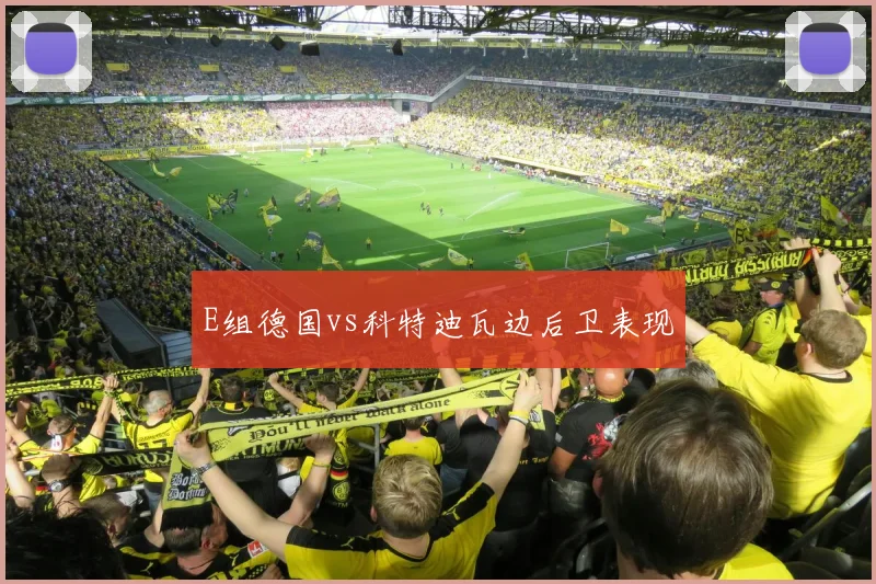E组德国vs科特迪瓦边后卫表现