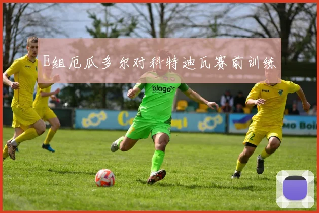 E组厄瓜多尔对科特迪瓦赛前训练